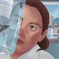 Understanding the Risks of Bed Bug Bites: Are They Dangerous?