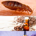 Exploring the Effectiveness of Natural Remedies for Bed Bug Infestations
