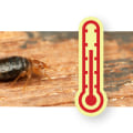 Understanding Bed Bug Survival in Extreme Temperatures