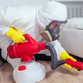 Effective Strategies for Cleaning and Disinfecting After a Bed Bug Infestation