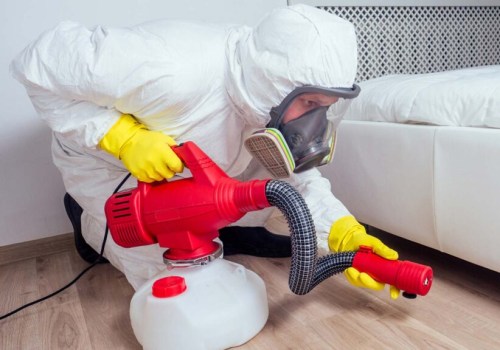 Effective Strategies for Cleaning and Disinfecting After a Bed Bug Infestation
