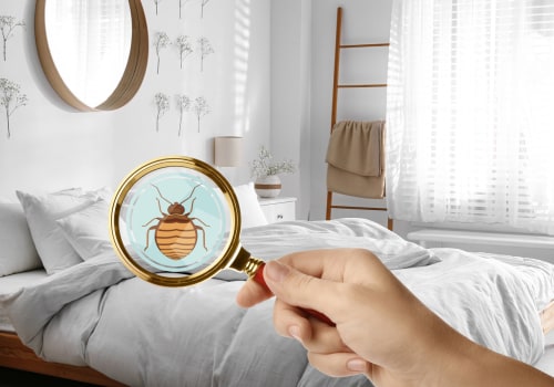 Essential Tips to Avoid Bringing Bed Bugs Home After Your Travels