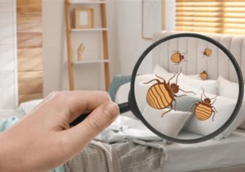Understanding Bed Bug Lifespan: Essential Facts You Need to Know